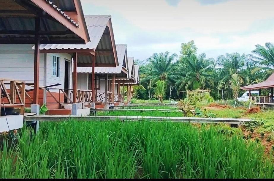 ปารมีฟาร์มสเตย์ Takuapa Esterno foto